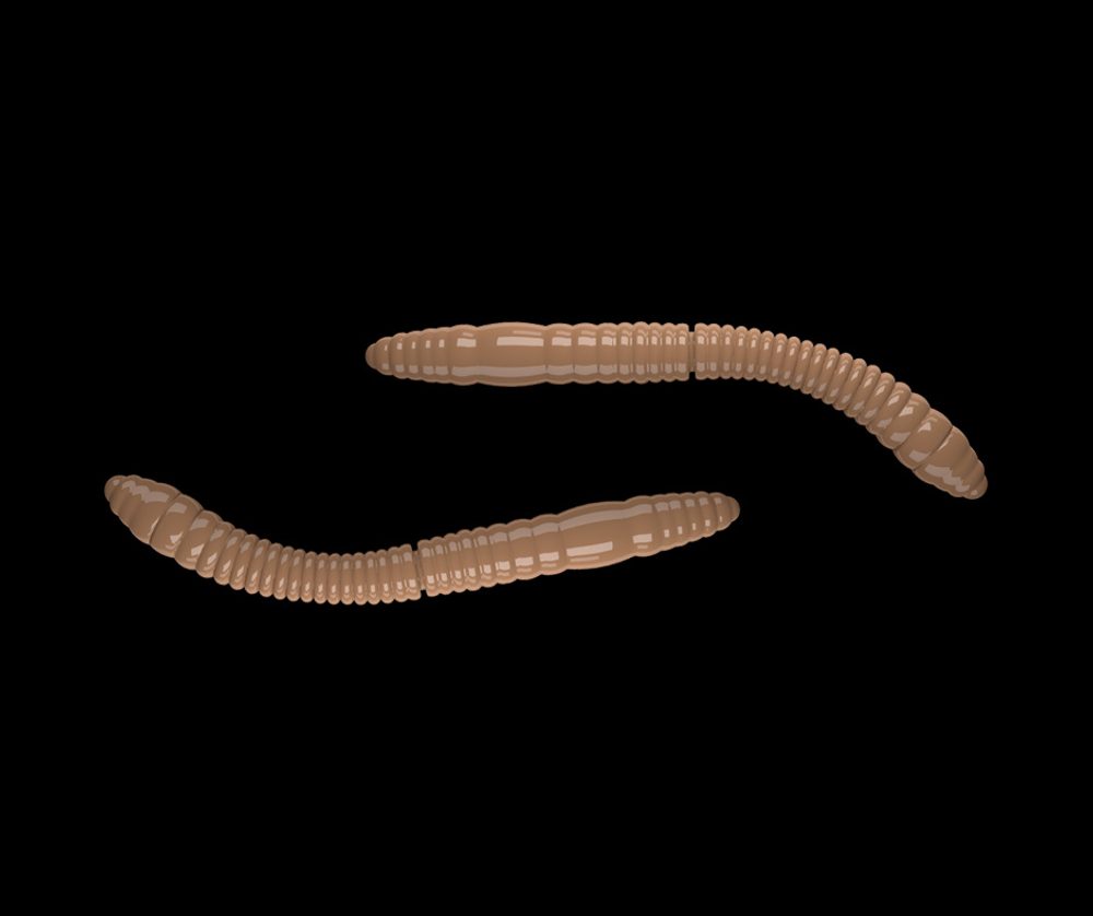 E-shop Libra Lures Fatty D’Worm Pellet - D’Worm 6,5cm 10ks,Libra Lures Fatty D’Worm Pellet - D’Worm 6,5cm 10ks