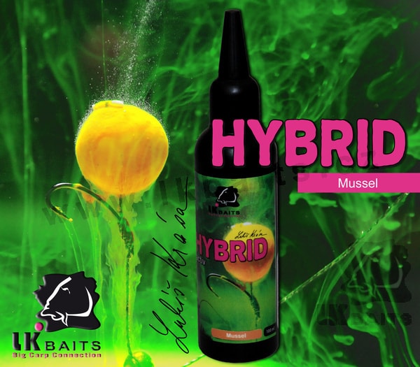 LK Baits Hybrid Activ 100ml - | Mussel