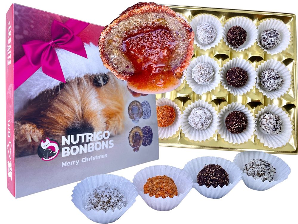 Fotografie LK Baits Pet Vánoční bonboniéra Nutrigo Bonbons Merry Christmas pro menší psy