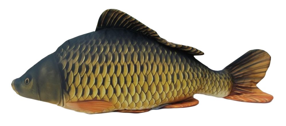 Gaby Polštář Kapr šupináč monster 160 cm,Gaby Polštář Kapr šupináč monster 160 cm