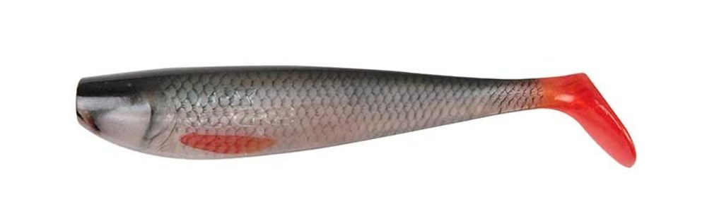 E-shop Fox Rage Gumová nástraha Zander Pro Shads Ultra Natural Roach - 10cm,Fox Rage Gumová nástraha Zander Pro Shads Ultra Natural Roach - 10cm