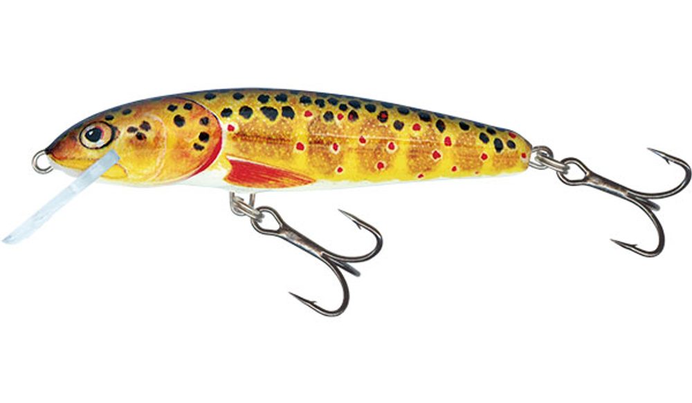E-shop Salmo Wobler Minnow Sinking 7cm - Trout,Salmo Wobler Minnow Sinking 7cm - Trout