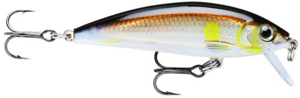 Rapala Wobler X-Rap CountDown AYU - 7cm 10g,Rapala Wobler X-Rap CountDown AYU - 7cm 10g