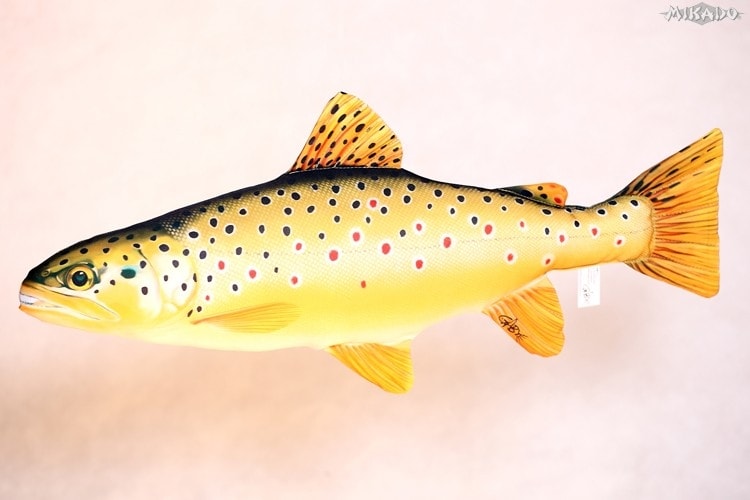 Gaby Polštář Pstruh potoční obecný - 62cm