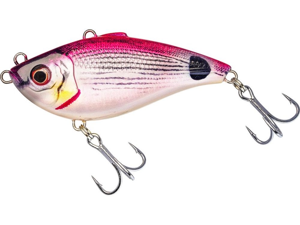E-shop Westin Cikáda Buzzvibe 10cm 57g - Pink Saddled Bream,Westin Cikáda Buzzvibe 10cm 57g - Pink Saddled Bream