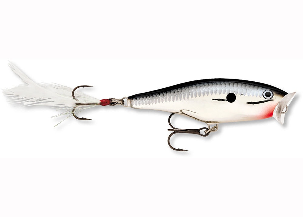 E-shop Rapala Wobler Skitter Pop Top Water Fresh CH - 7cm 7g