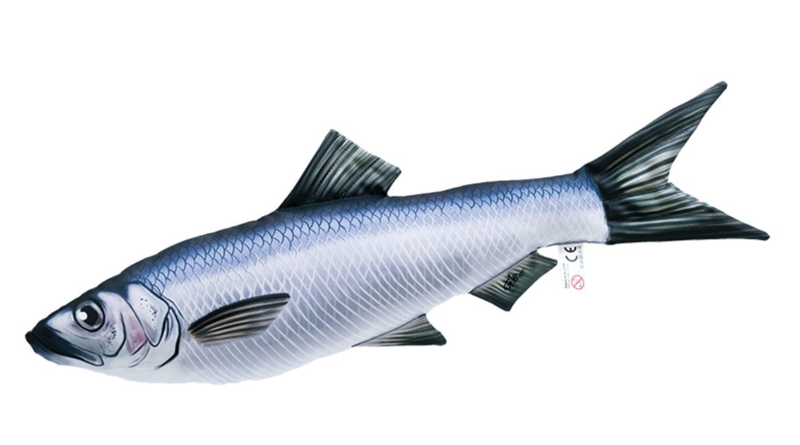 Gaby Polštář Sleď obecný mini 35 cm | Polštáře - Plyšové ryby | Chyť a pusť