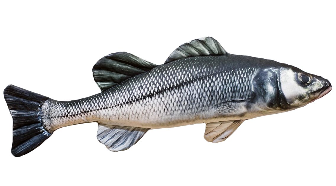 Gaby Polštář Sea Bass (Mořský vlk) 70 cm | Chyť a pusť