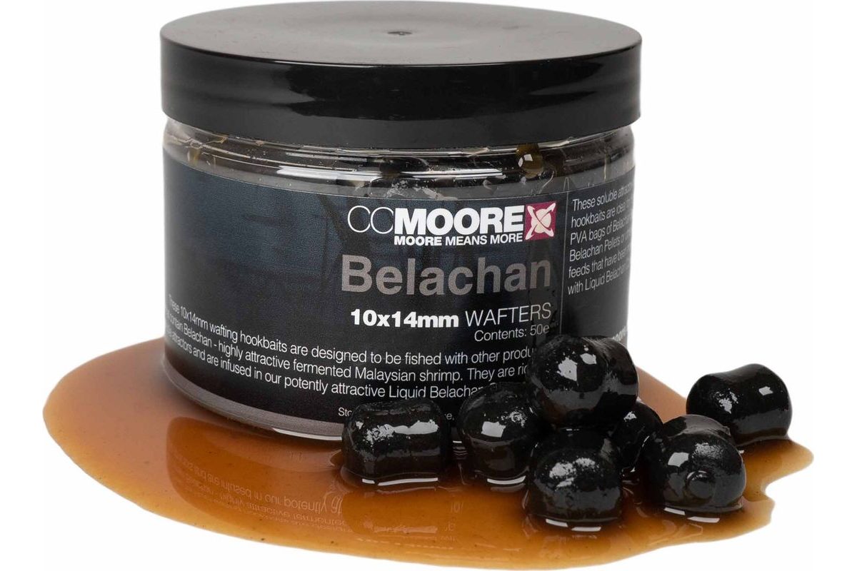 CC Moore Boilies Belachan Wafters
