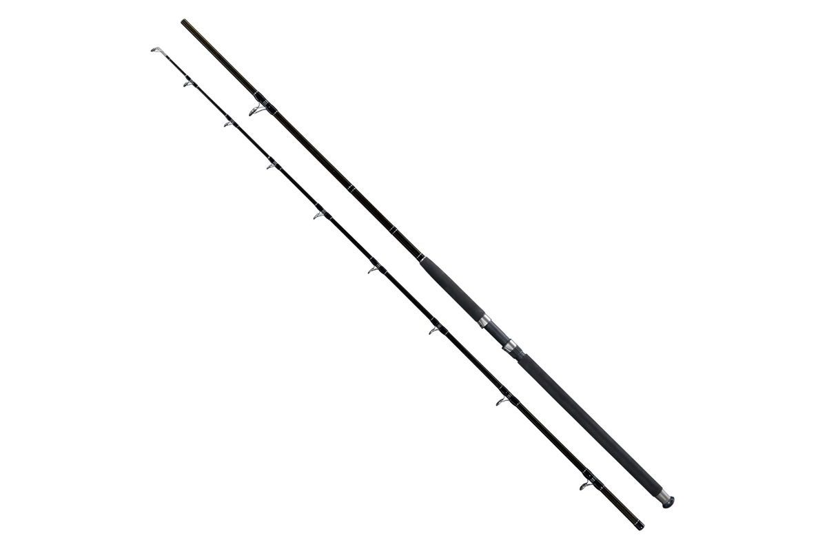 Giants Fishing Prut Deluxe Catfish 2,4m 400g