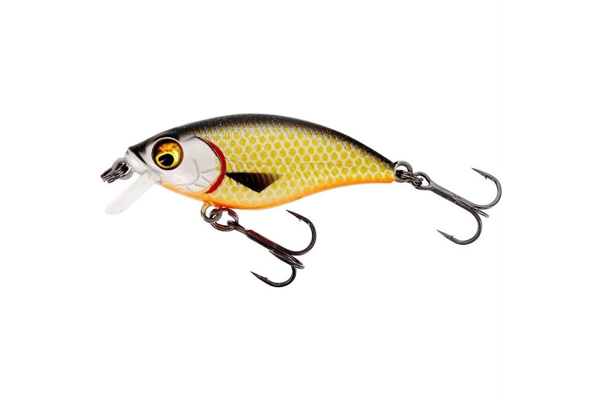 Westin Wobler BuzzBite SR Crankbait Low Floating Official Roach