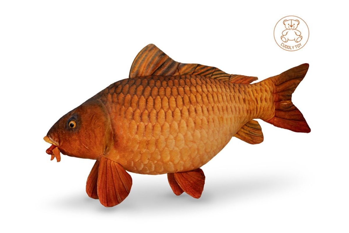 Delphin Plyšový kapr Carpy