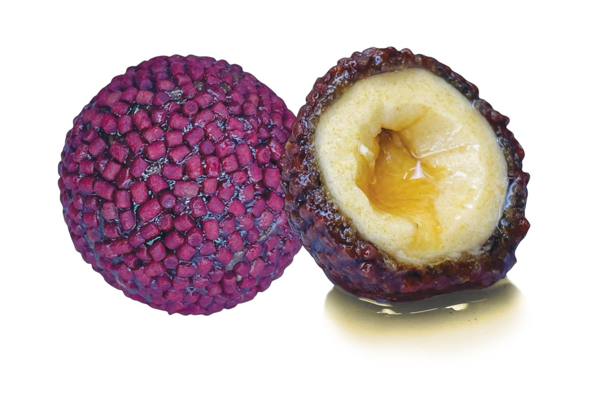 LK Baits Nutrigo Pellets Red Halibut