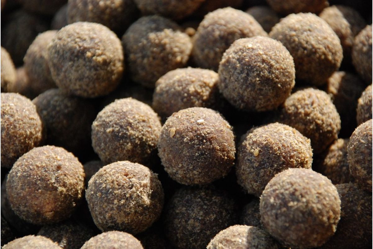 LK Baits Boilie Fish Activ 20mm 250ml