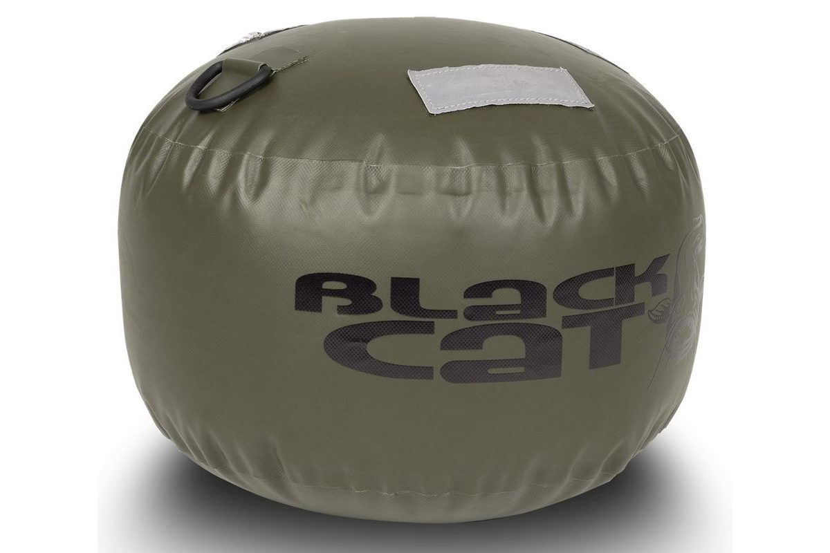 Black Cat Bójka S Bója