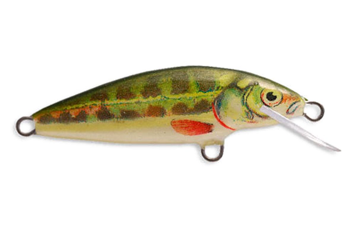 Dorado Wobler Classic MN