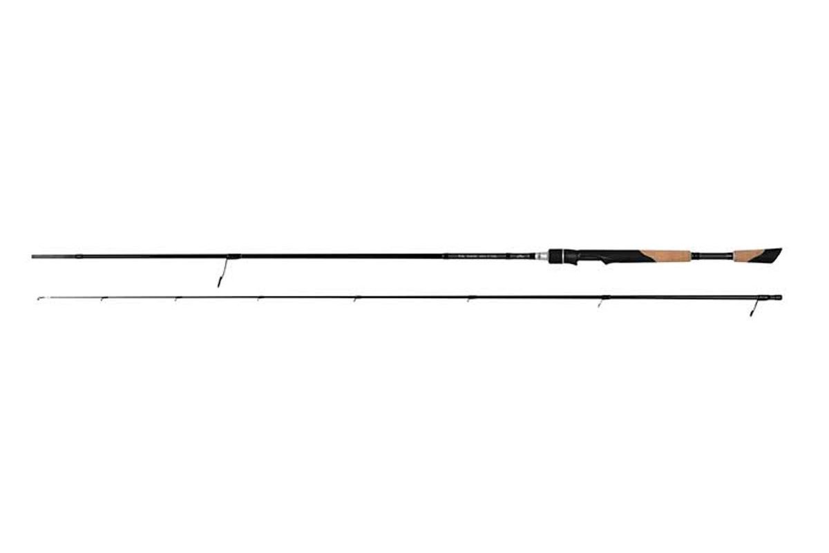 Fox Rage Prút TR DS Master 245cm 6-25g