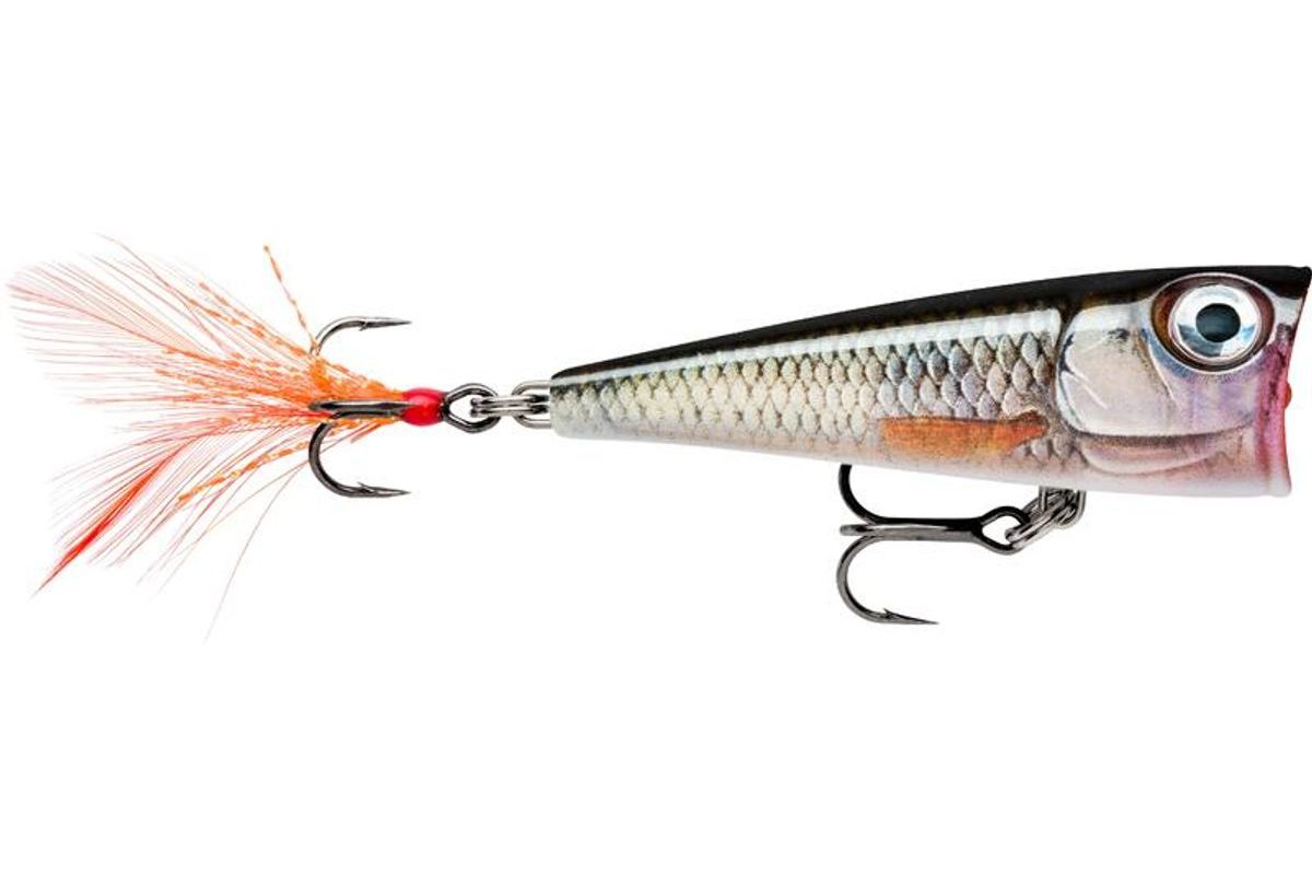Rapala Wobler X-Light Pop Live Roach