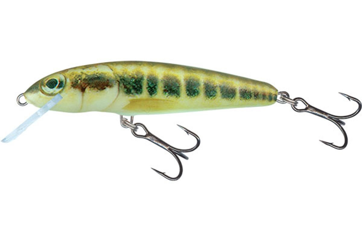 Salmo Wobler Minnow Sinking 5cm