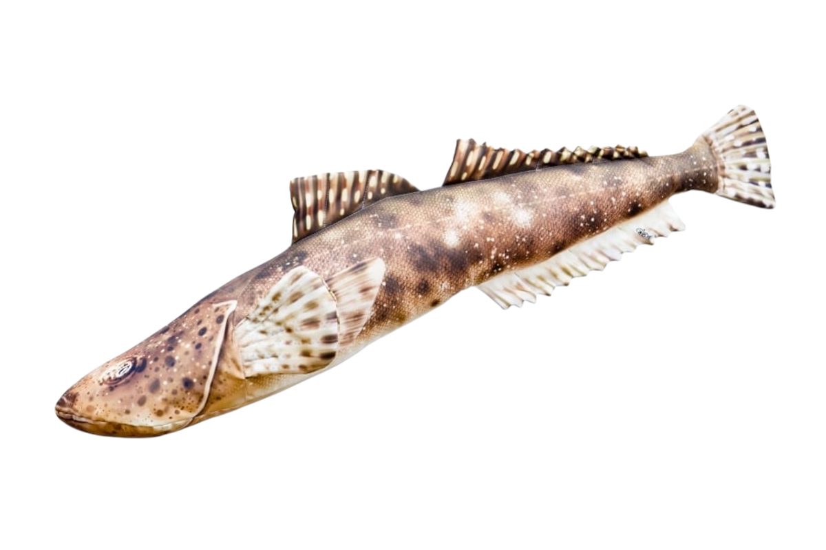 Gaby Polštář Ploskohlavec tmavý 102cm