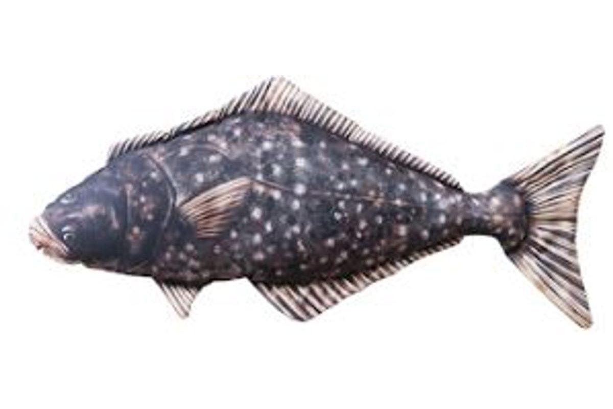 Gaby Polštář Halibut - 72 cm