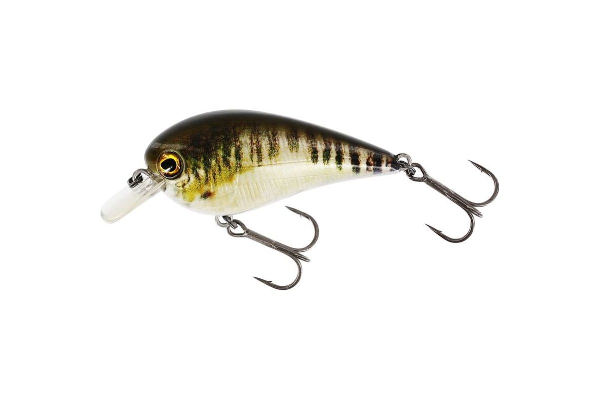 Westin Wobler BassBite 2.5 Squarebill Floating Real Minnow