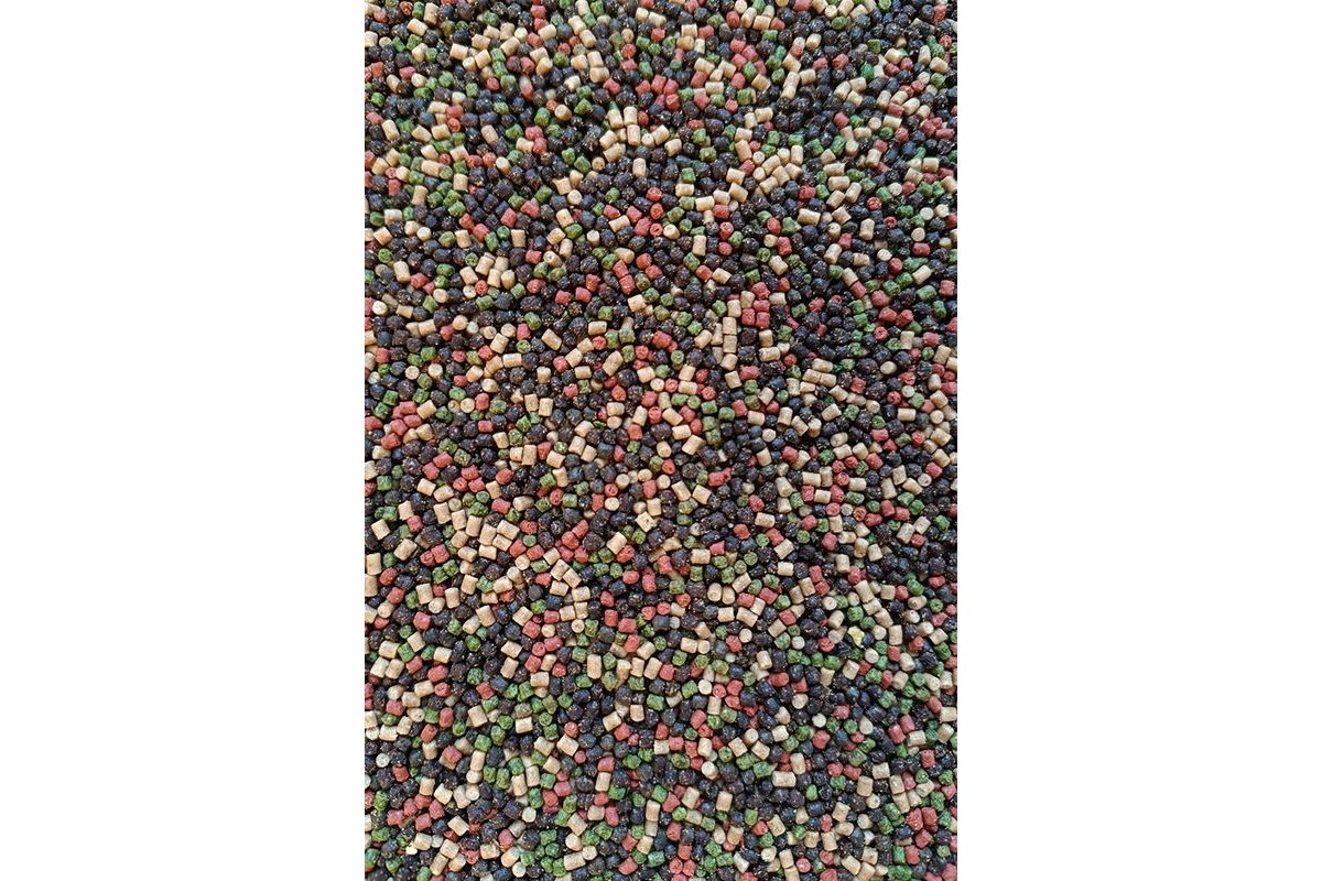 FeederBait Pelety Method Pellet 2mm 800g