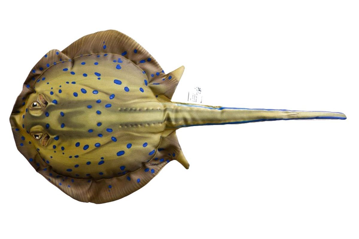 Gaby Vankúš Pstruh 85 cm