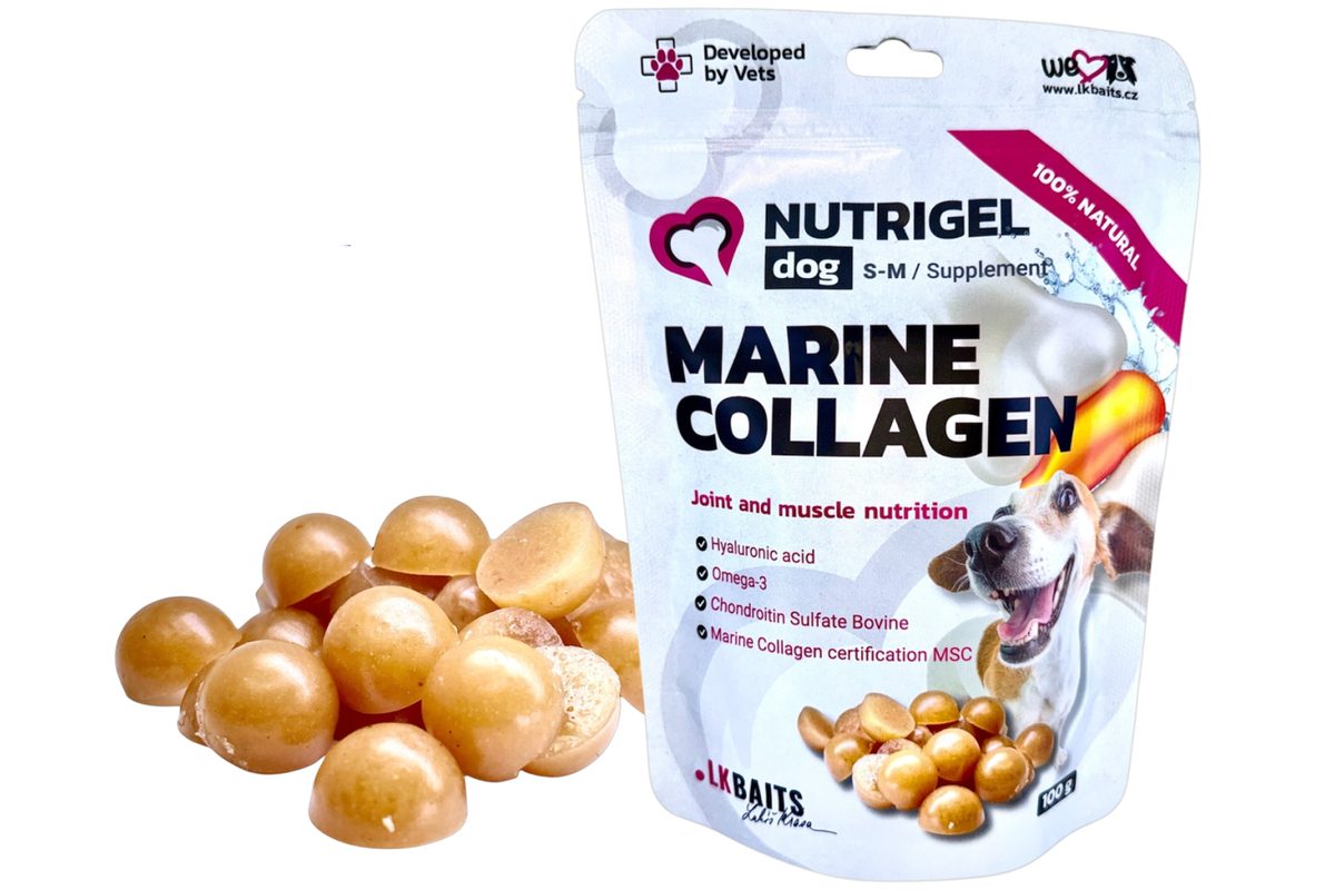 LK Baits Pet Kolagen Nutrigel Dog Marine Collagen