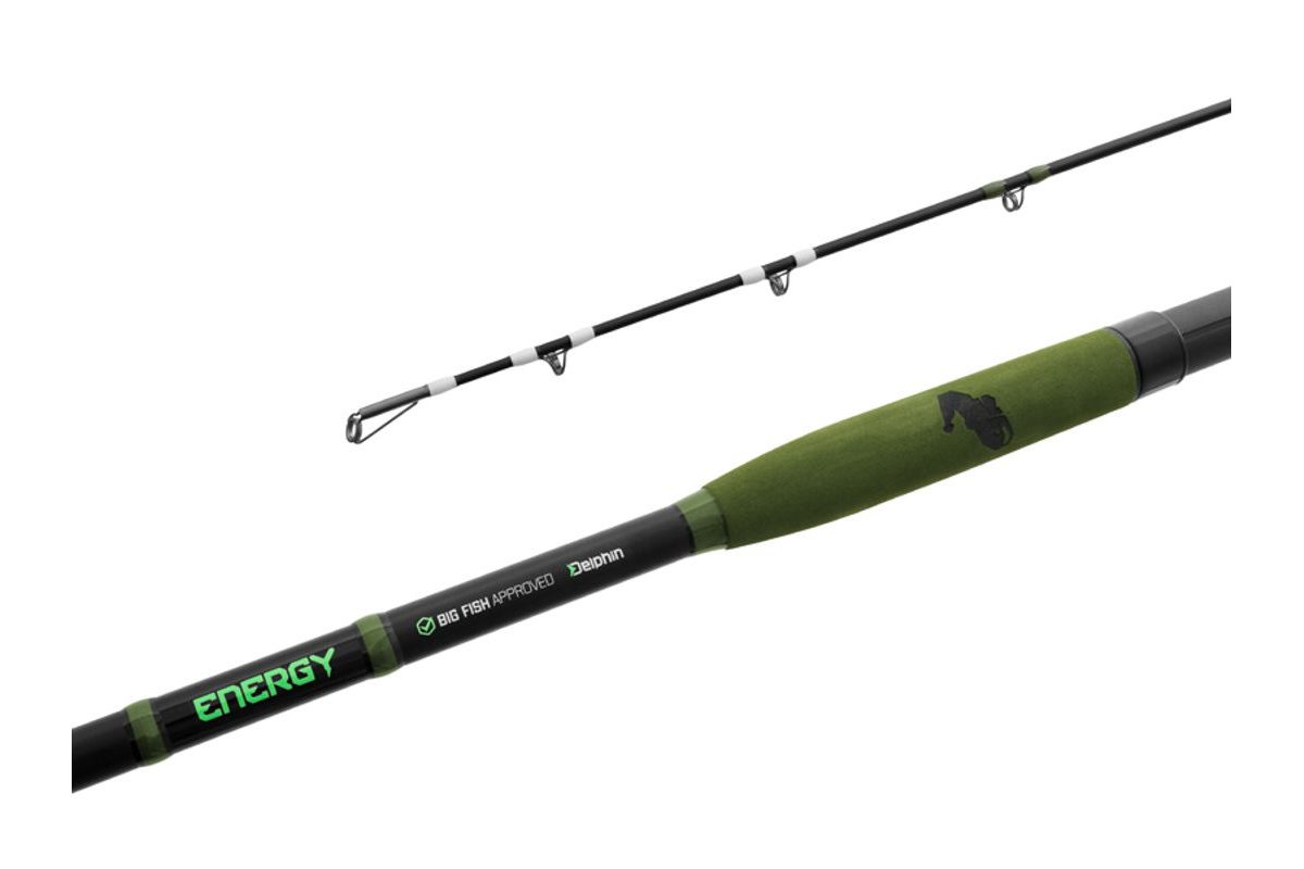 Delphin Prut Energy Catfish 2,5m 250-500g