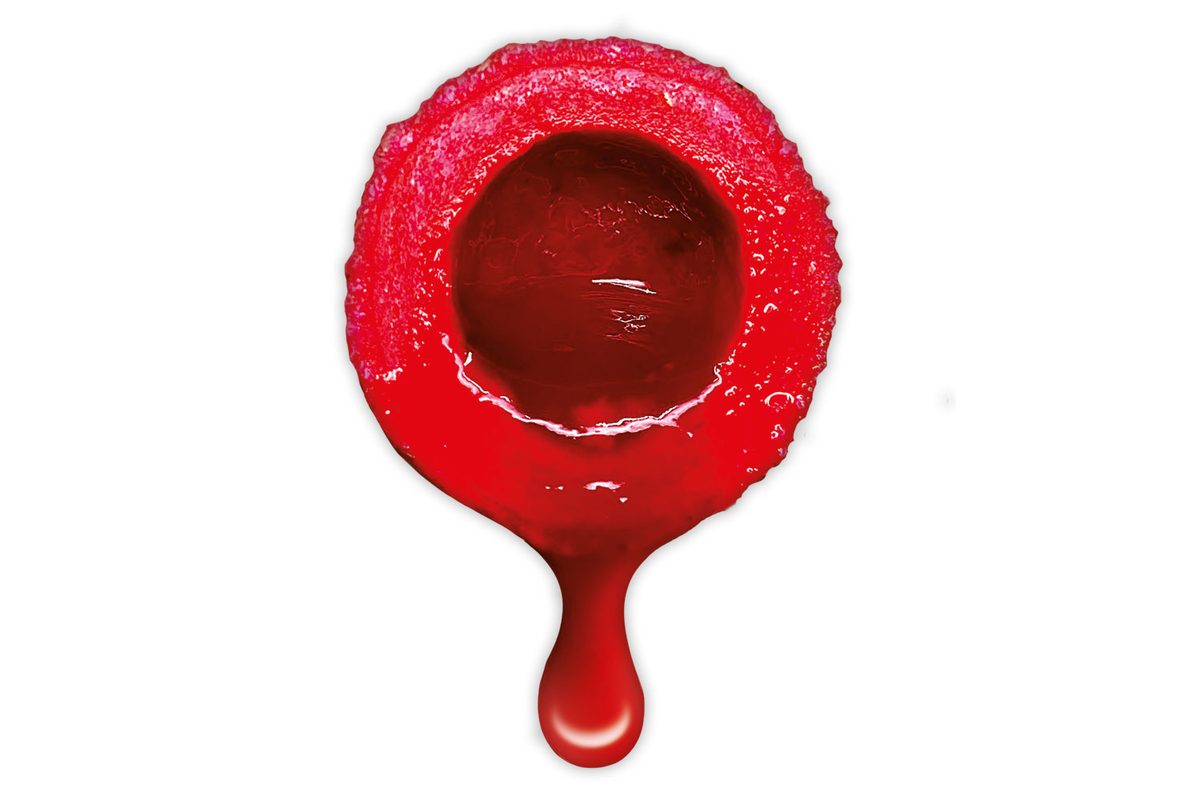 LK Baits Nutrigo Extra Divoká Jahoda