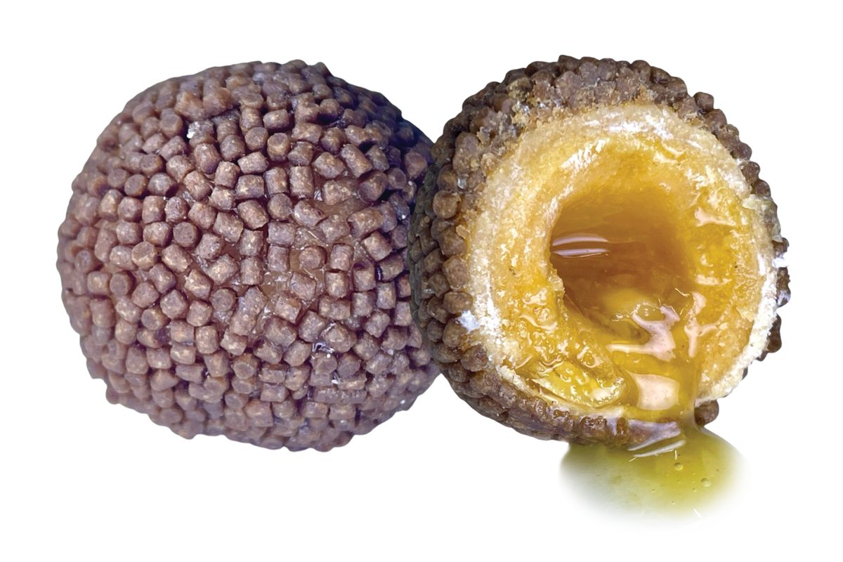 LK Baits Nutrigo Pellets Romadur Halibut