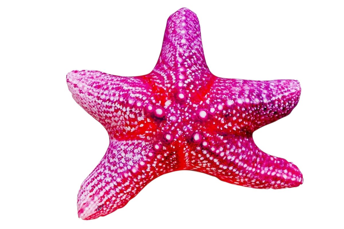 Gaby Polštář Hvězdice 55cm