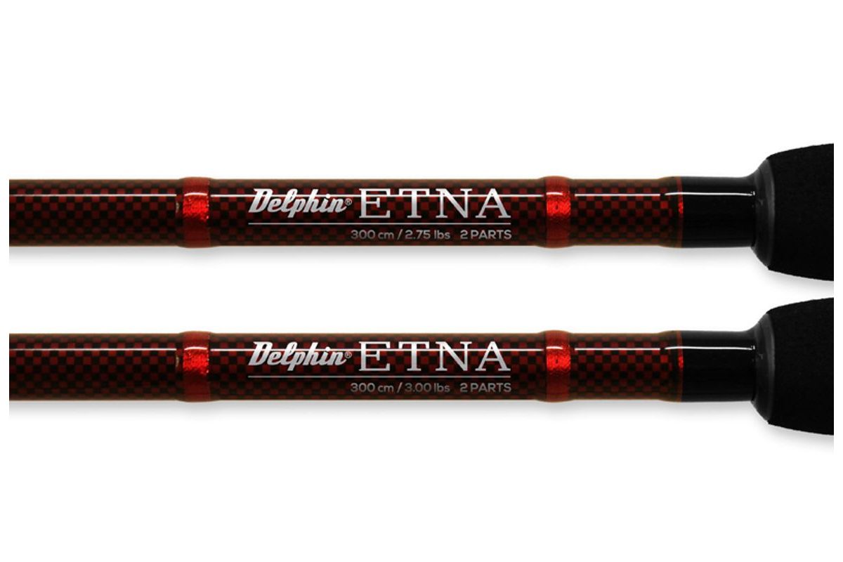 Delphin Prut Etna Carp 3,0m 2,75lb 2díl