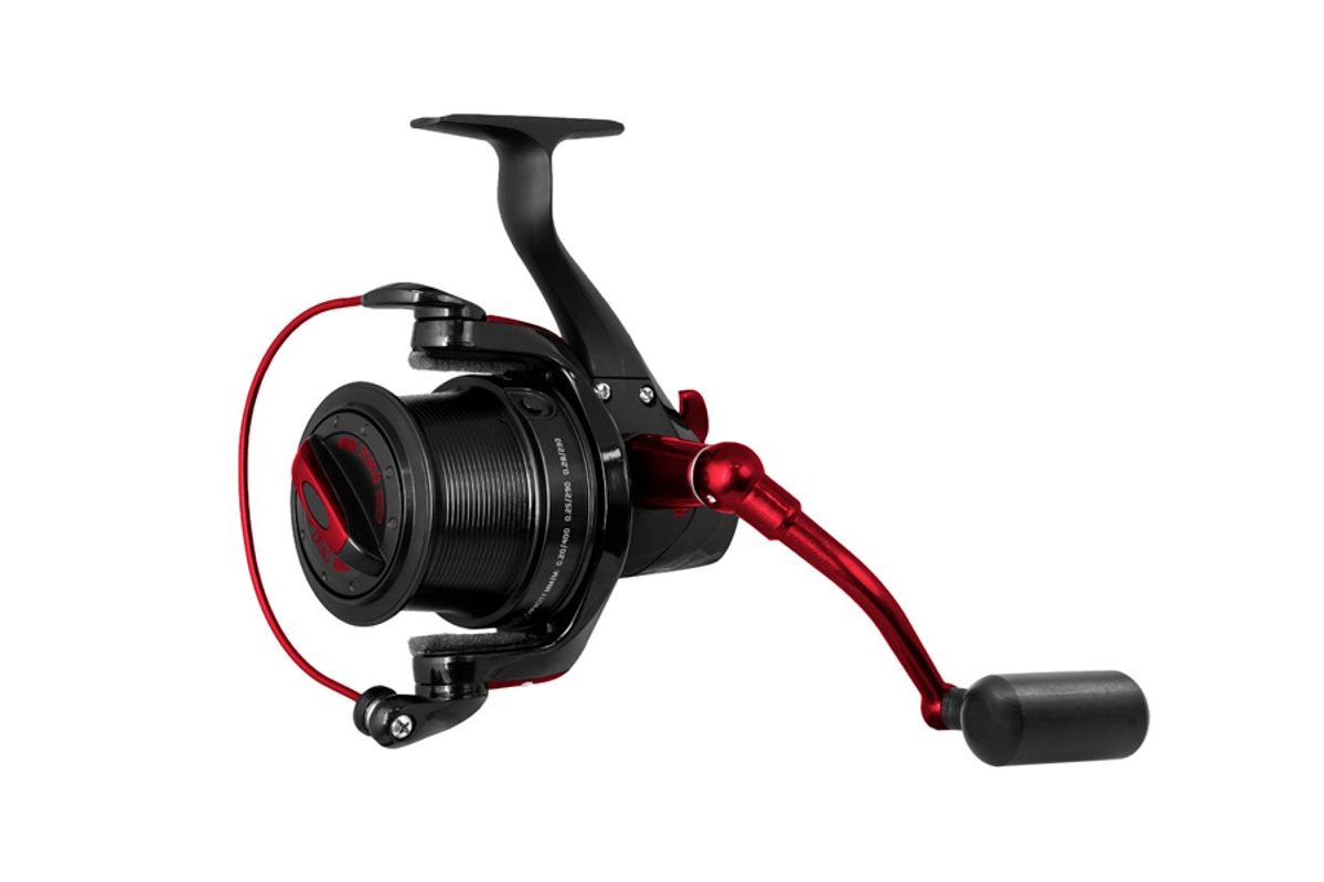 Delphin Navijak Raya 55 Y body