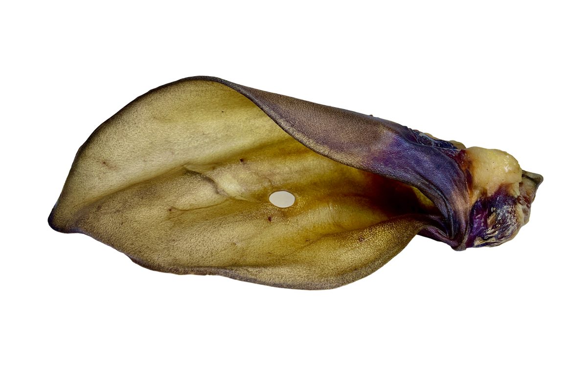 LK Baits Pet Sušené hovězí ucho se záuškem 1ks