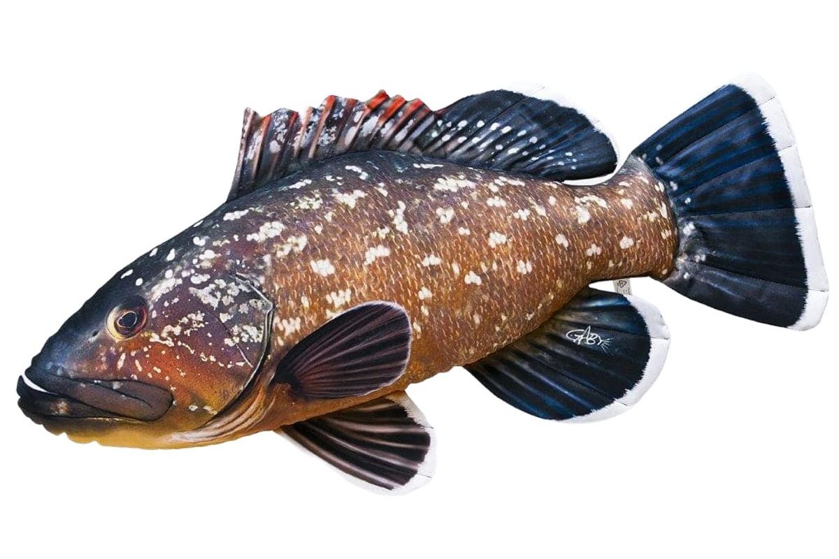 Gaby Polštář Kanic vroubený 100cm