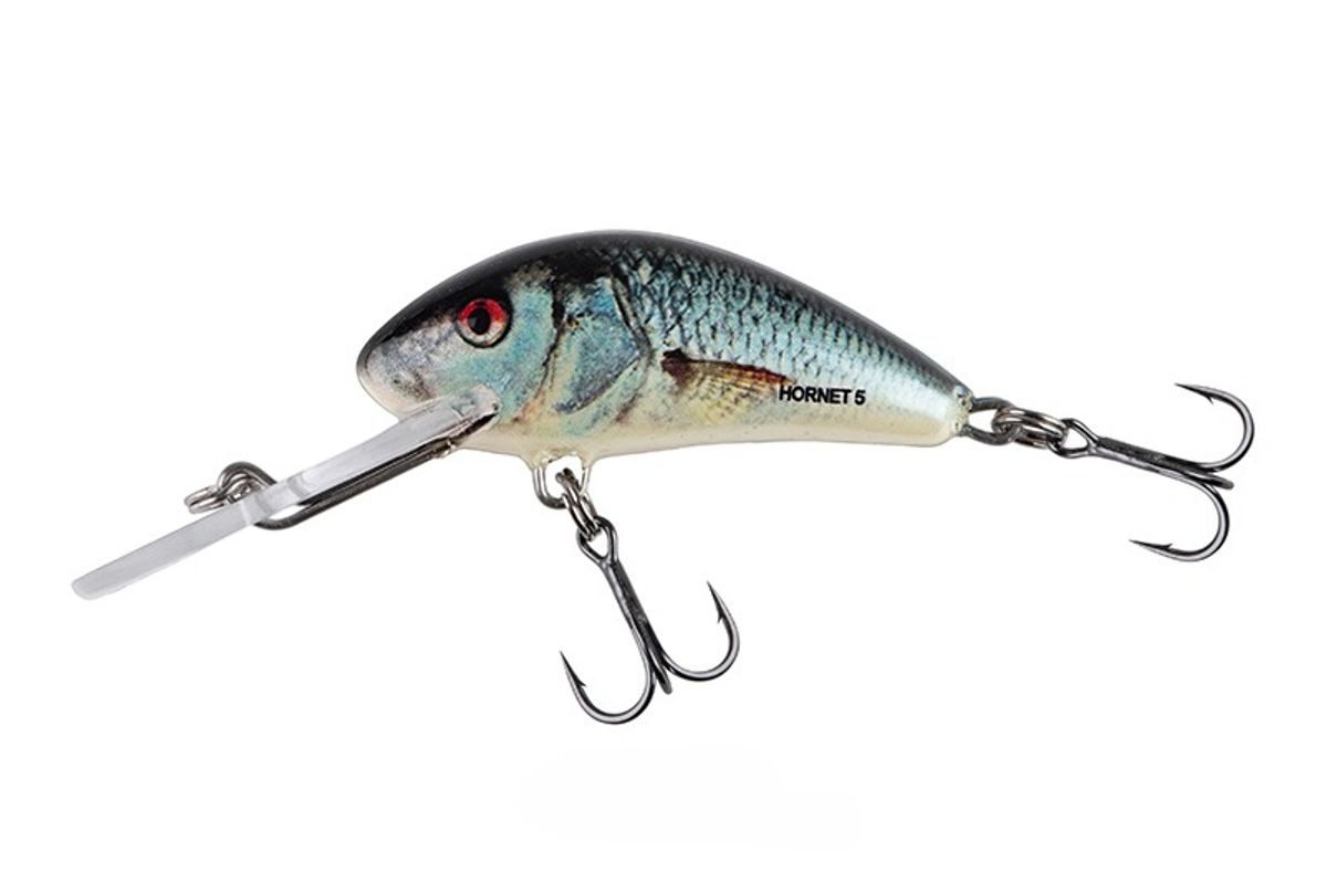 Salmo Wobler Hornet Sinking Real Dace