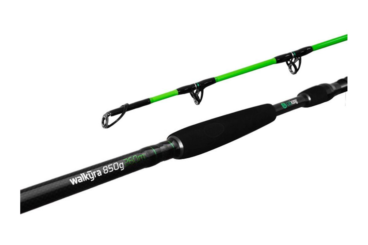 Delphin Prut Walkyra 3,00m 850g