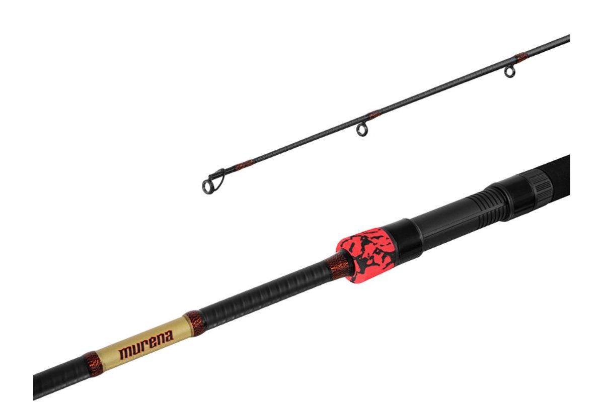 Delphin Prut Murena Power 270cm 125g 2 díl