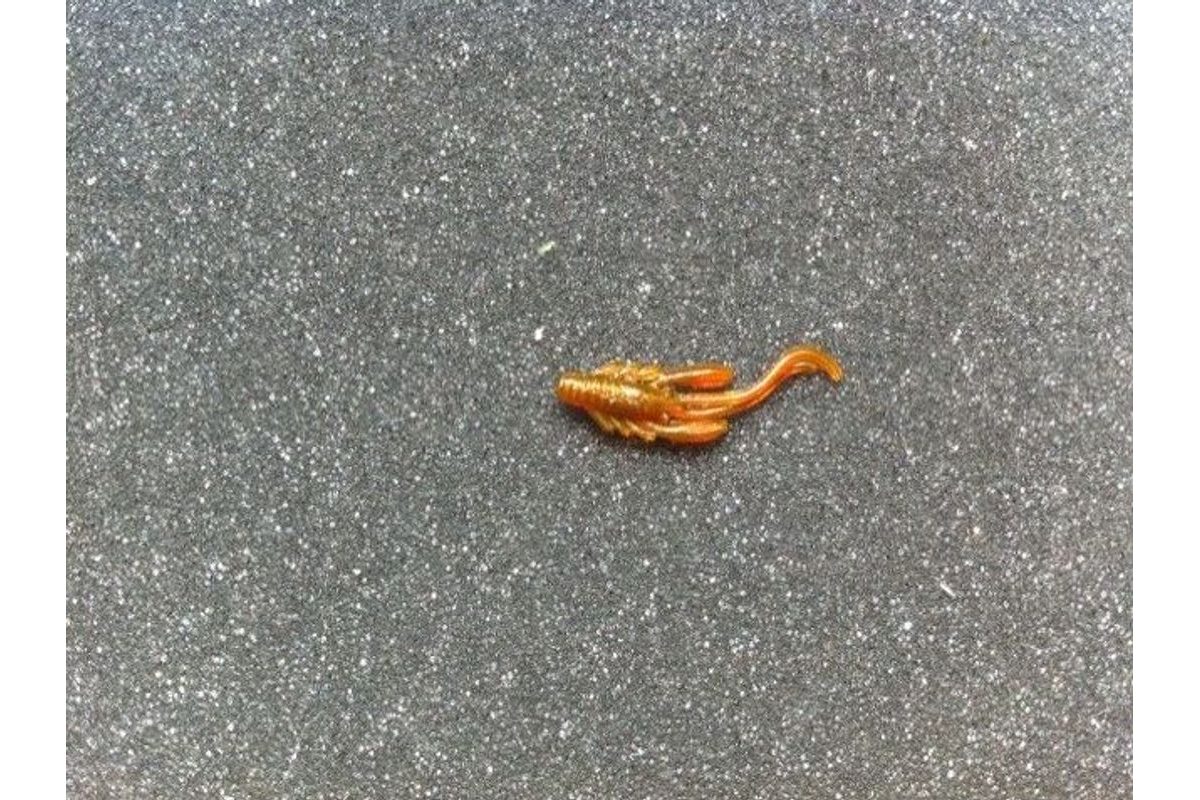Maxxo Nymfy 3,5cm 10ks