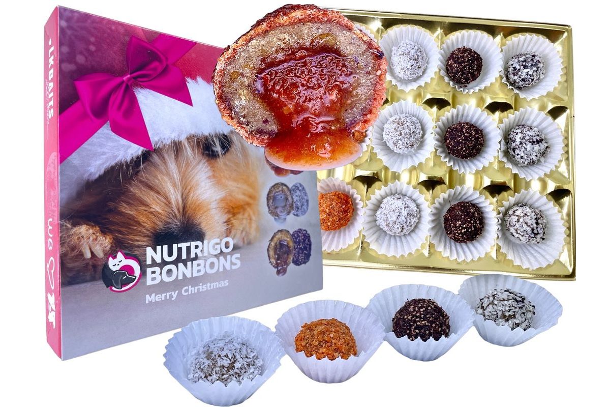 LK Baits Pet Vánoční bonboniéra Nutrigo Bonbons Merry Christmas pro menší psy