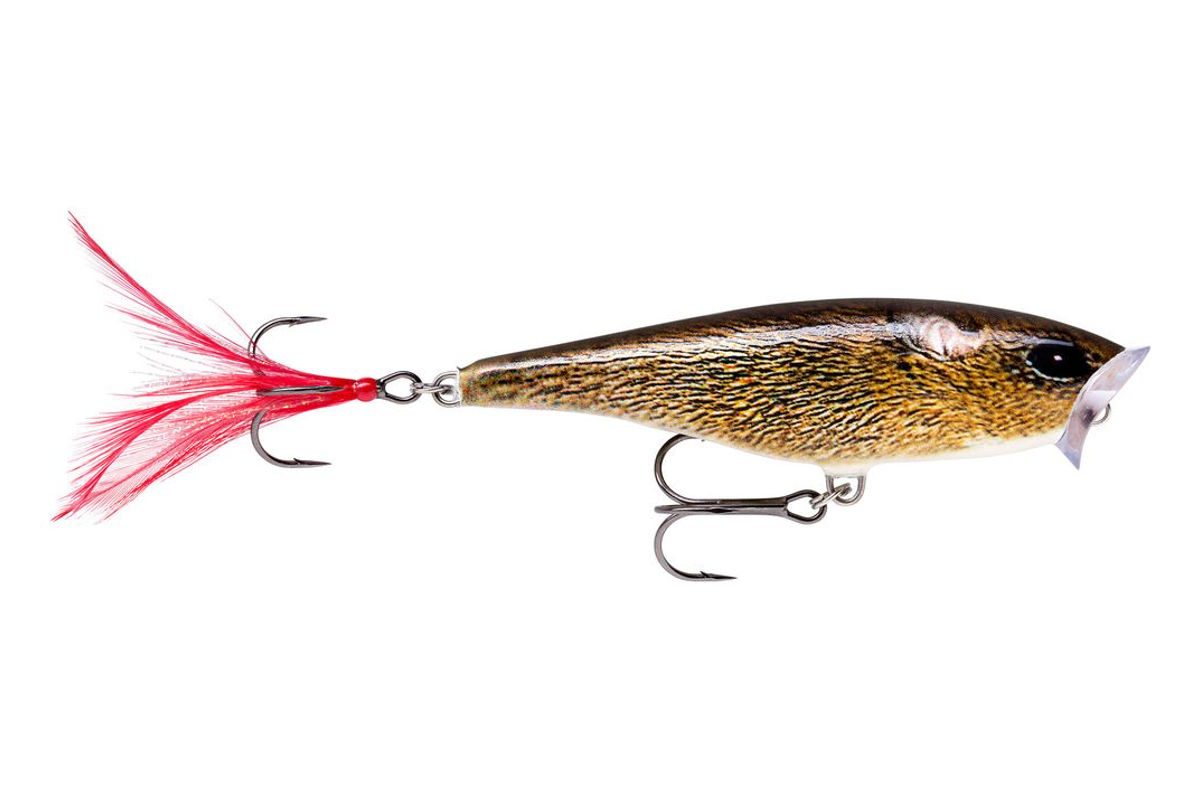 Rapala Wobler Skitter Pop Top Water Fresh FML