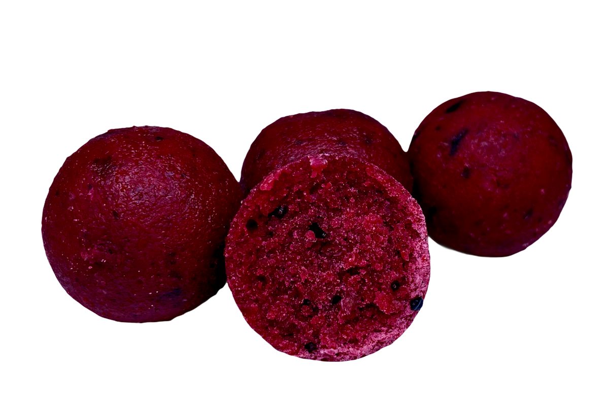 LK Baits Boilies Euro Economic Spice Shrimp