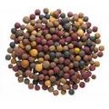 Mivardi Vnadiace boilies Rapid Multi mix