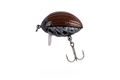 Salmo Wobler Lil’ Bug May Bug