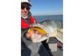 Fox Rage Gumová nástraha Zander Pro Shads UV Golden Shiner