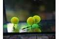 G.B.U. Boilies Mutant Extreme Crab + Mulberry w/Holy Smoke 130g