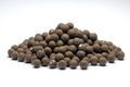 Mivardi Rapid Boilies Starter Monster & Halibut 3,5kg