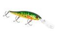 Westin Wobler Jerkbite DR Real Perch